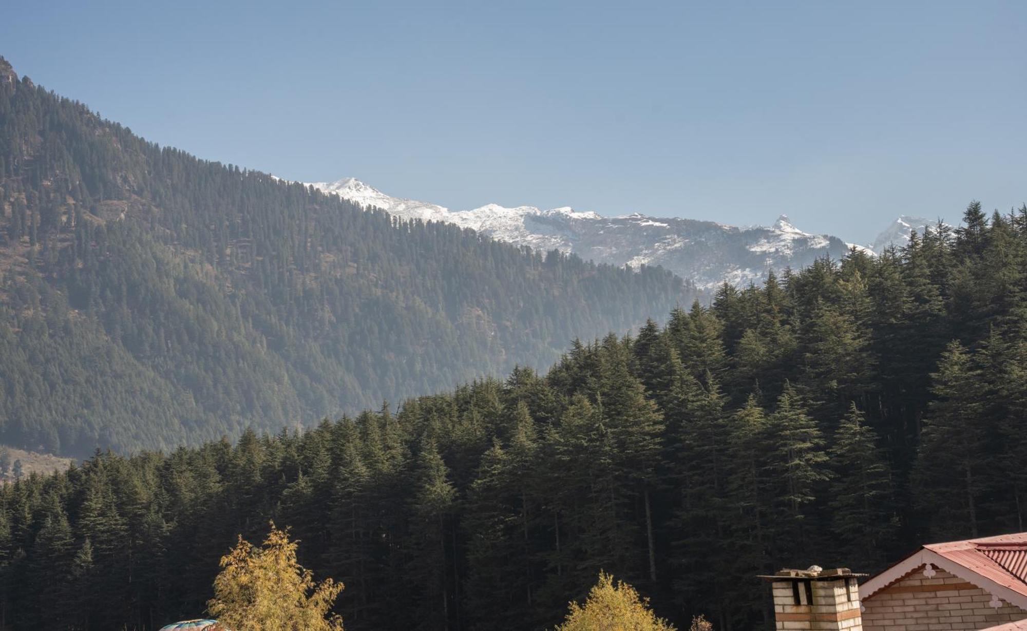 The Conifer Hotel Manali  Exterior photo